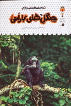 یک فنجان دانستنی درباره جنگل های بارانی