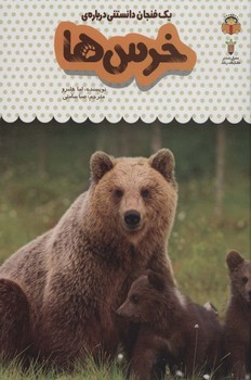 یک فنجان دانستنی درباره خرس ها