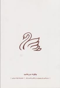 چگونه بدرخشید